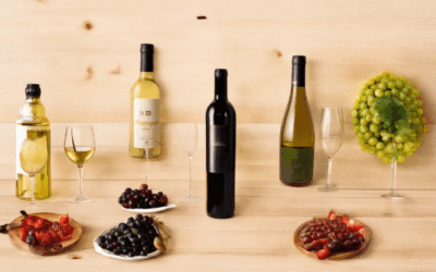The Ultimate Guide to Choosing Wines for Every Meal